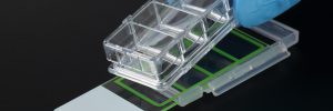 Laboglob.com Optical Growth Chambers