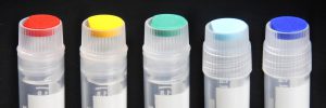 Laboglob.com Cryo-Systems