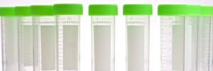 Laboglob.com Conical Centrifuge Tubes