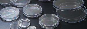 Laboglob.com Tissue Culture Petri Dishes