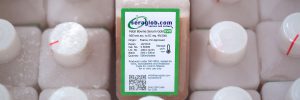 Seraglob Fetal Bovine Sera