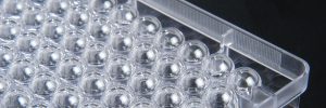Laboglob.com Tissue Culture Plates