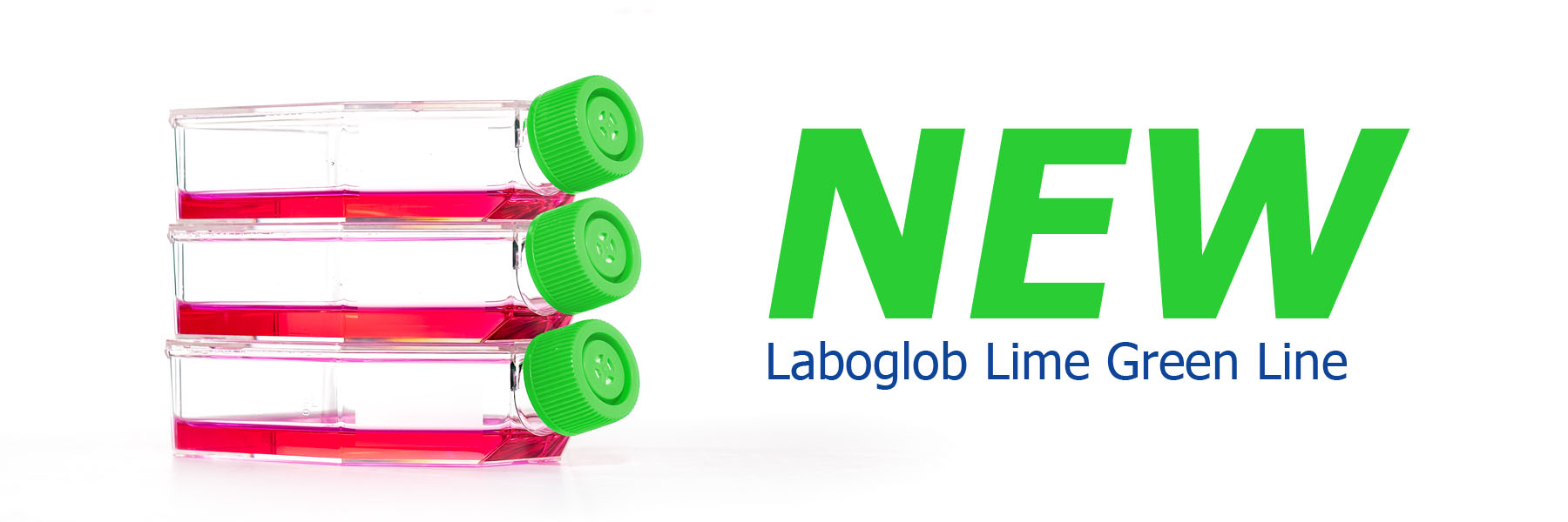 Laboglob Zellkulturflaschen / Tissue Culture Flasks